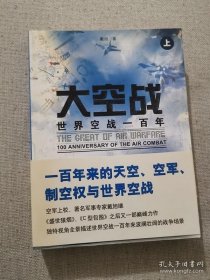 正版书籍九成新大空战（上下）戴旭著 新华出版社