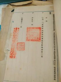 电影资料【26】