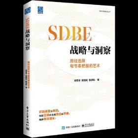 SDBE战略与洞察：路径选择和节奏把握的艺术