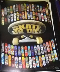 2002年【*海报】滑板   滑冰或死亡 酷墙艺术海报 skate or die