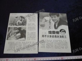明星内页专卖PE131-087杨庆煌2张2页报导照片