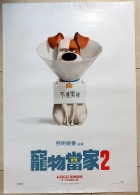 ★ 2019年 宠物当家2，1开，双面，台湾院线版