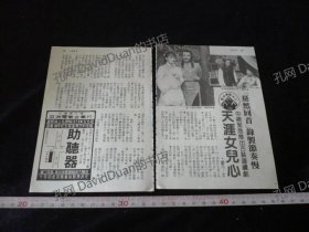 明星内页专卖PE167-046天涯女儿心谢屏楠甄秀珍2张2页报导照片(电视周刊)