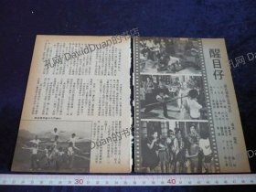电影小说内页专卖PE227-087醒目仔妞妞白中明王晓茵程小东主演一份