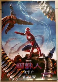 2021 蜘蛛人 无家日 一开海报 双面