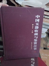 一套库存 中国玉器收藏与鉴赏全书（上下）（品相如图旧书）特价50 4号树林