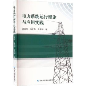 电力系统运行理论与应用实践