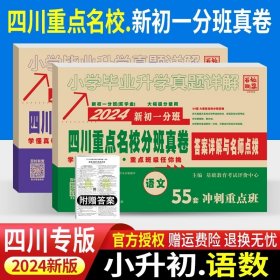 百校联盟（2018）小学毕业升学真题详解：语文（培优版）