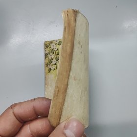 新媳妇
