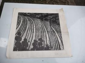 薛鹤 耘云 版画 淮南市版画研究会会长