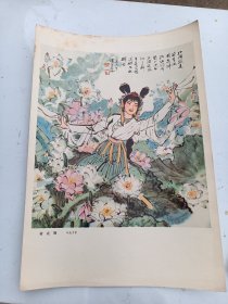 印刷品 画片  叶浅予  荷花舞