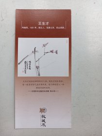 王生才    画片介绍