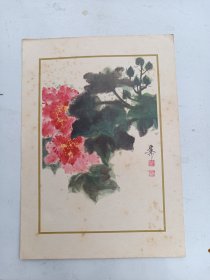 印刷品 画片    谢稚柳   芙蓉