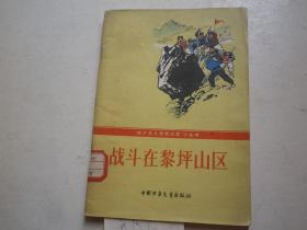 战斗在黎坪上区