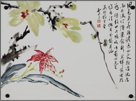 陈如冬，生于江苏苏州（花卉画）