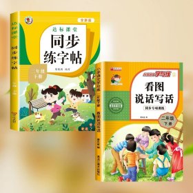 正版全新二年级下/同步练字帖+看图说话 2023新版 二年级下练字帖人教版 小学2下语文同步练字帖小学生专用 二年级下教材课本临摹写字帖天天练