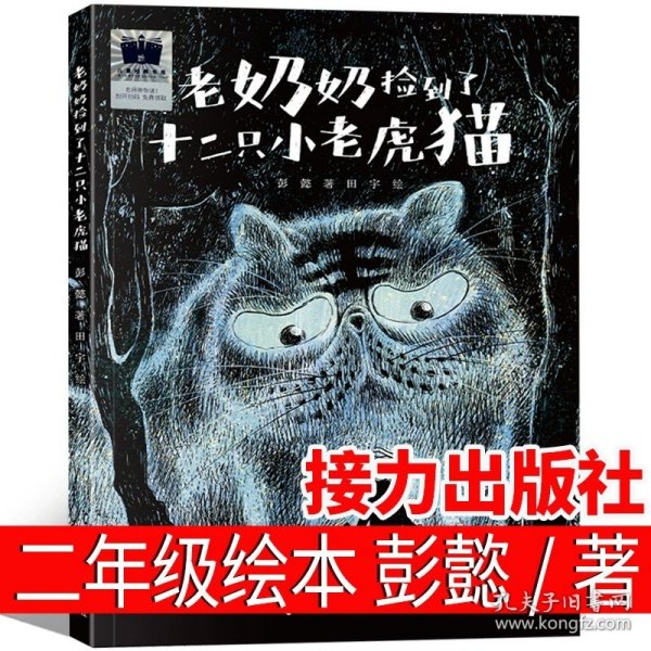 《老奶奶捡到了十二只小老虎猫》（2024年百班千人寒假书单 二年级推荐阅读）