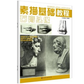 正版全新素描基础教程石膏头像石膏头像 张恒国 等 编著 著 工艺美术（新）艺术 书店图 化学工业出版社