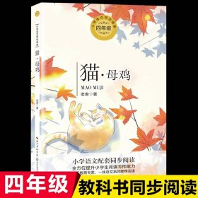 正版全新【四年级下】猫·母鸡 青铜葵花曹文轩芦花鞋四年级下课外书必读经典小学语文同步阅读统编教材配套课文里的作家作品系列畅销乡村故事书