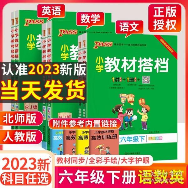 小学教材搭档：语文（六年级下RJ版统编新教材全彩手绘）