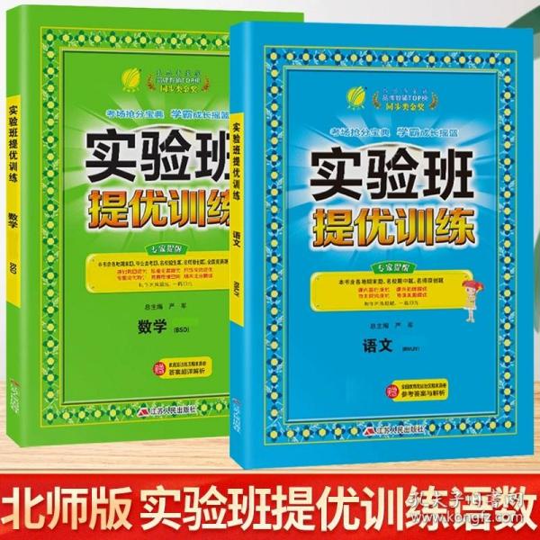 (2017春)实验班提优训练 小学 语文 四年级 (下) 人教版 RMJY