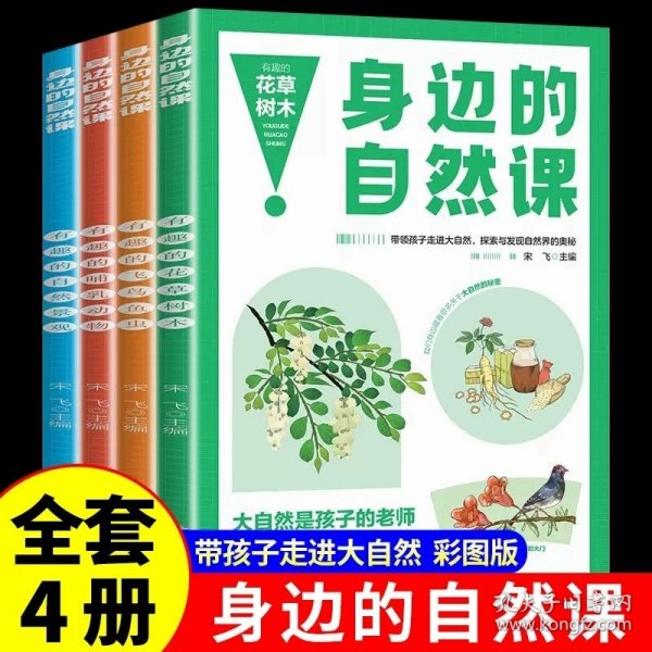 写给儿童的趣味传统文化 全4册 中国传统节日 二十四节气 十二生肖的故事 中国民俗故事 6-12岁小学生课外阅读书 中国传统文化科普百科全书图画书