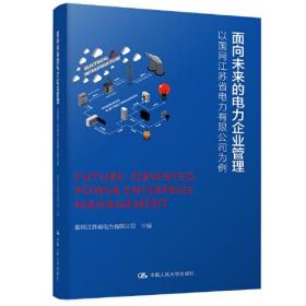 正版书 面向未来的电力企业管理：以国网江苏省电力为例