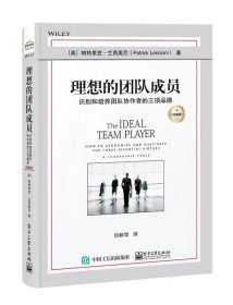 理想的团队成员：识别和培养团队协作者的三项品德（经典版）