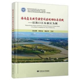 海南岛自然资源空间区划理论与实践——以海口江东新区为例