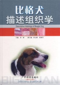 比格犬描述组织学