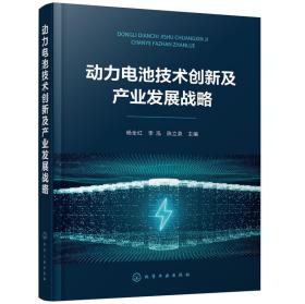 动力电池技术创新及产业发展战略