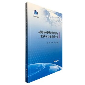 战略协同理论和实践:世界水谷和海外中国 张阳,田鸣,罗逾兰 著河