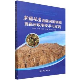 新疆砾岩油藏深部调驱提高采收率技术与实践 王延杰,白雷,唐可,罗