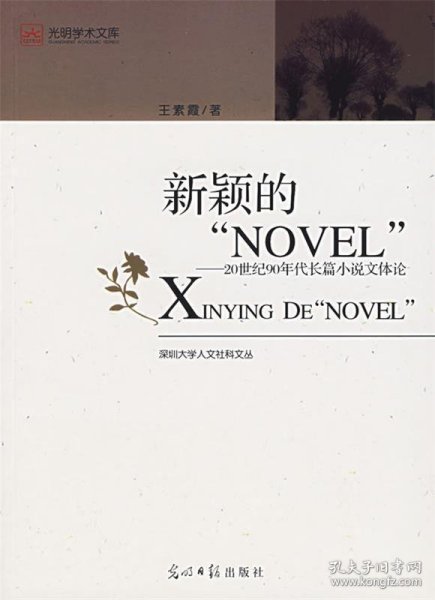 新颖的“NOVEL“：20世纪90年度长篇小说文体论