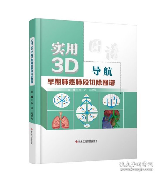 实用3D导航早期肺癌肺段切除图谱