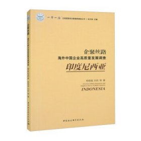 企聚丝路：海外中国企业高质量发展调查（印度尼西亚）