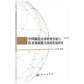 中国制造企业转型升级与技术创新能力协同发展研究