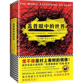 盖普眼中的世界 (美)约翰·欧文(JohnIrving) 著,黄贞 译江苏凤凰