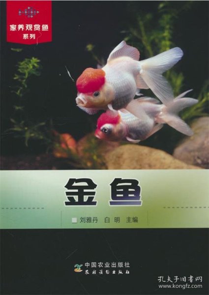 金鱼 刘雅丹,白明中国农业出版社有限公司9787109304048