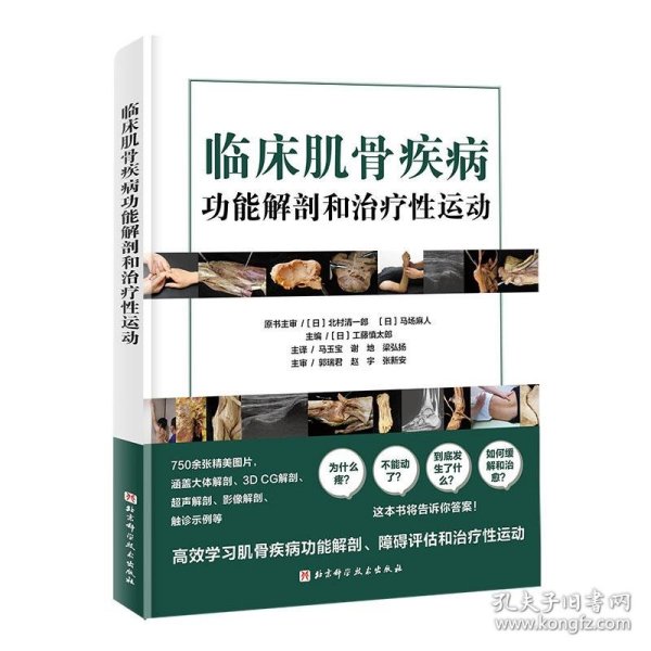 临床肌骨疾病功能解剖和治疗性运动 [日]工藤慎太郎 著,马玉宝,谢