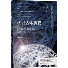 认识活体筋膜 ：细胞与细胞外基质之间的构成性世界