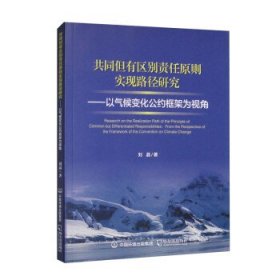 共同但有区别责任实现路径研究