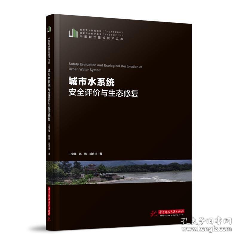 城市水系统安全评价与生态修复中国城市建设技术文库 王宝强,陈姚