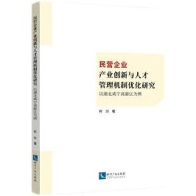 民营企业产业创新与人才管理机制优化研究：以湖北咸宁高新区为例