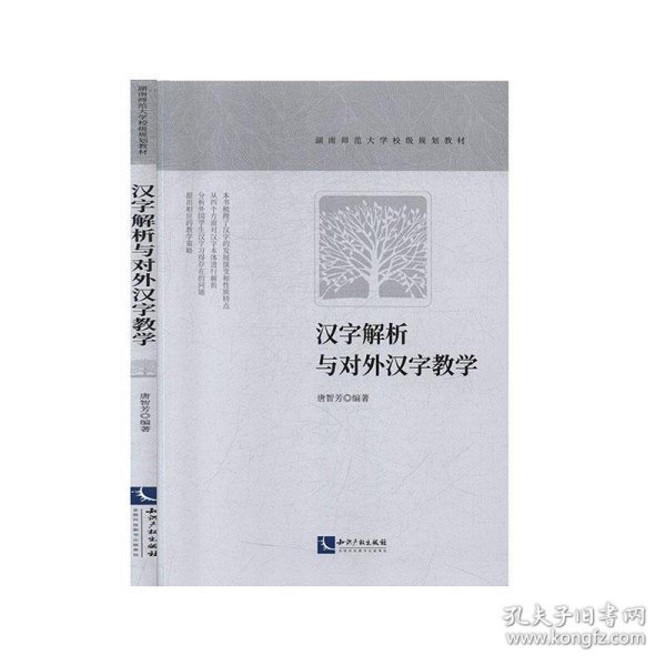 汉字解析与对外汉字教学 唐智芳 著知识产权出版社9787513066969