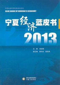 2013宁夏经济蓝皮书