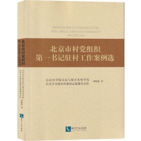 北京市村党组织第一书记驻村工作案例选