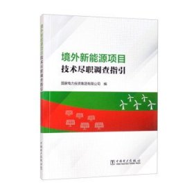 境外新能源项目技术尽职调查指引