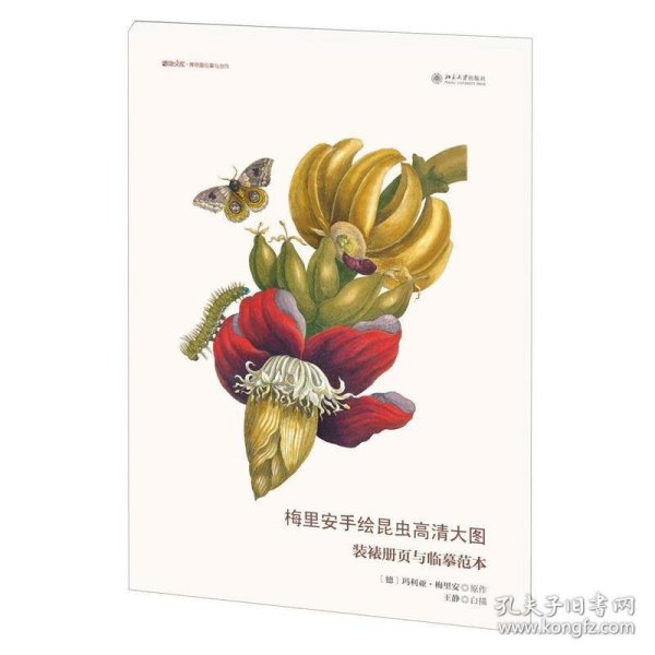 梅里安手绘昆虫高清大图：装裱册页与临摹范本/博物文库·博物画临摹与创作