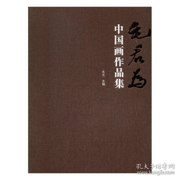 毛君为中国画作品集 毛文湖北美术出版社9787539492094